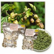 Centennial Hopfenpellest 100 Gr. ERNTE 2013 9,4%