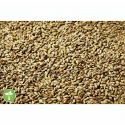 Pilsner Malz The Swaen 3-4 EBC 1 KG 