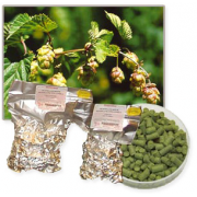 Styrian Goldings Hopfen Pellets 100 g 2016